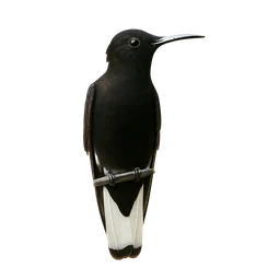 Black Jacobin