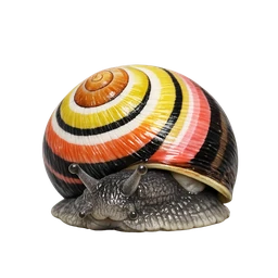 Cuban Painted Snail