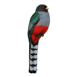 Hispaniolan Trogon