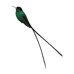 Jamaican Streamertail