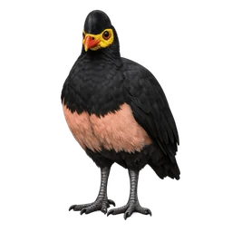 Maleo