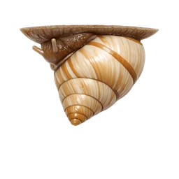 Partula Snail