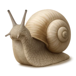 Roman Snail, profile
